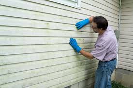 Best Siding Painting and Refinishing  in Essex Fells, NJ